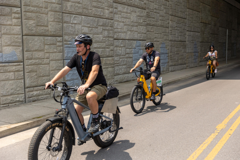 Nashville: E-biketour met gids