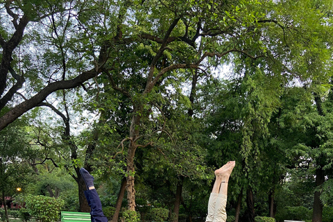 Nuova Delhi: Yoga rilassante al sole nei giardini di Lodhi