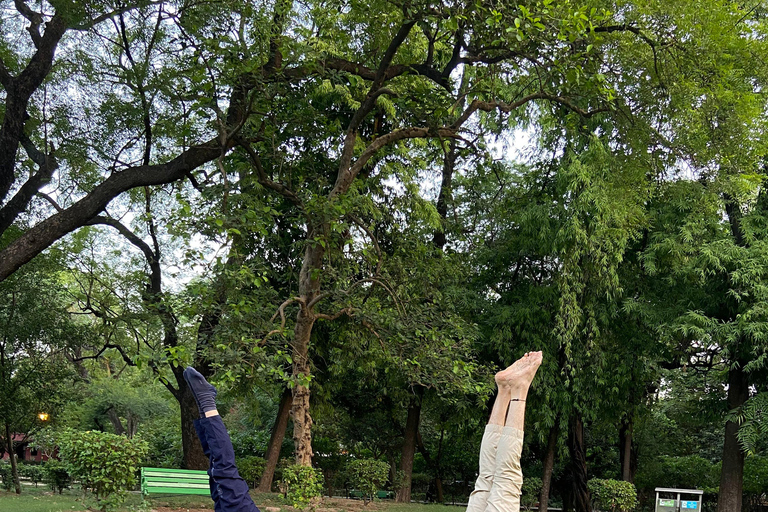 Nuova Delhi: Yoga rilassante al sole nei giardini di Lodhi