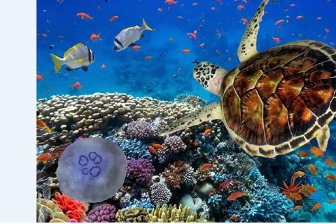 Akumal : Baignade avec les tortues et aventure dans la jungle
