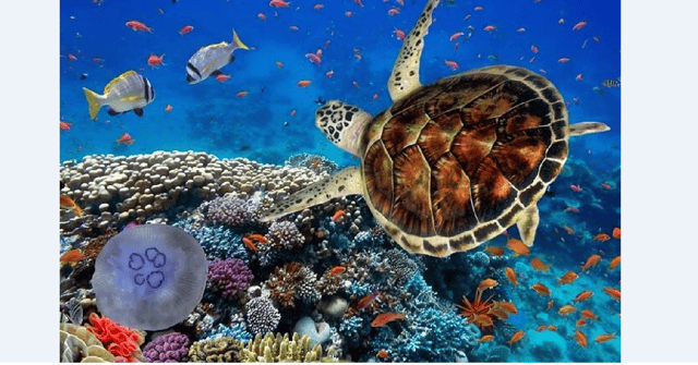 Akumal: Turtle Swim & Jungle Adventure Tour