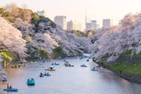 Tokyo : Visite guidée privée avec prise en charge et retour à l&#039;hôtel