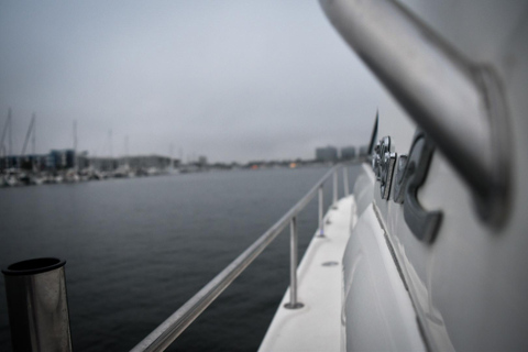 Marina Del Rey: wynajem luksusowego jachtu z kapitanemMarina Del Rey: Wynajem luksusowych jachtów z kapitanem