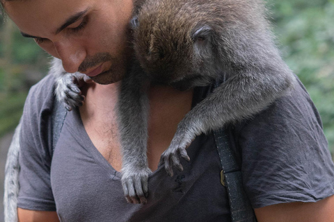 Nagano Tokyo: Snow Monkey Private Day Tour Hotel Pick & Drop Snow Monkey Private Day Tour Hotel Pick & Drop Off In Crown