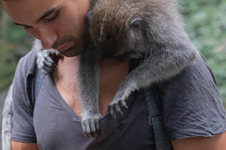 Nagano Tokyo: Snow Monkey Private Day Tour Hotel Pick & Drop Snow Monkey Private Day Tour Hotel Pick & Drop Off In Crown