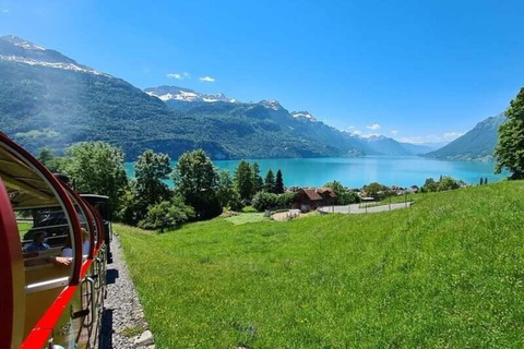 Zurich: Bernese Alps Tour with Lake Cruise & Steam Train Special Offer