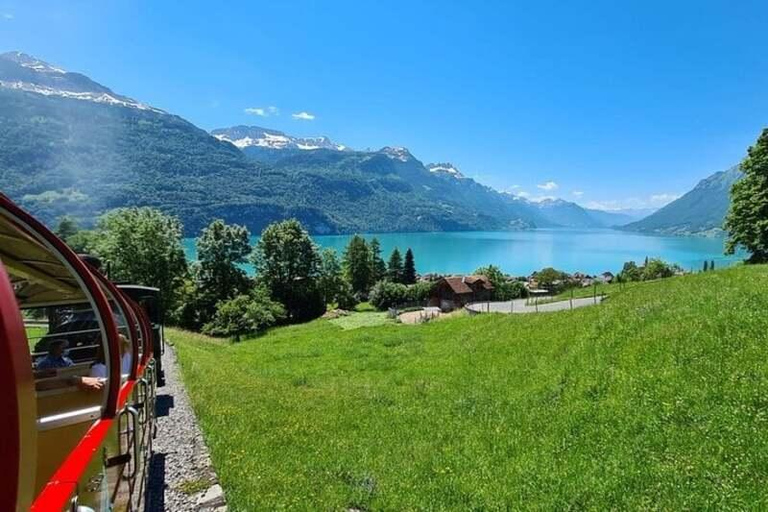 Zurich: Bernese Alps Tour with Lake Cruise & Steam Train Special Offer