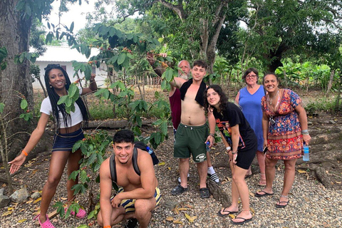 Private:Puerto Plata:Damajagua Waterfalls Tour with Tastings