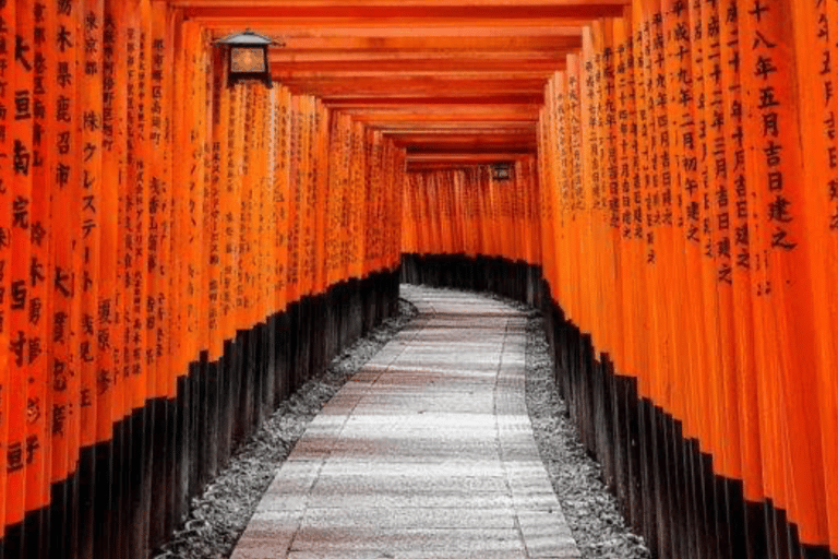 Kyoto Full Day Customizable Private Tour with English Guide