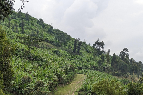 Kigali: Full-day cycling tour with picnic lunch