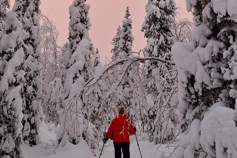 Levi: Reindeer Farm Visit and Snowshoe Adventure with Lunch