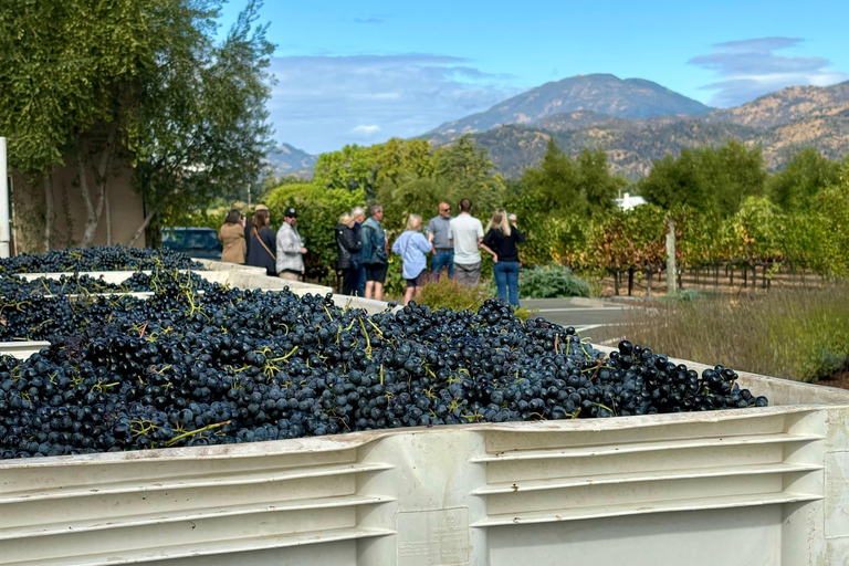 Sonoma Valley: Guided Winery Tour with Picnic Lunch