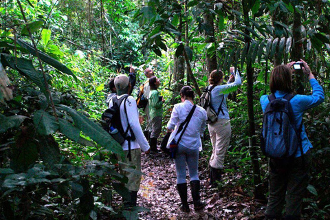 From Puerto Maldonado: 4-Day Amazon Rainforest Tour