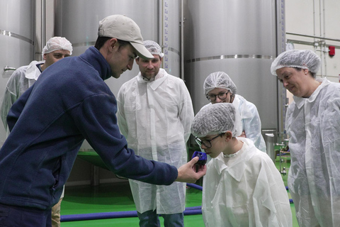Toledo: Olive Oil Mill Tour & Tasting 4 EVOO Casas de Hualdo