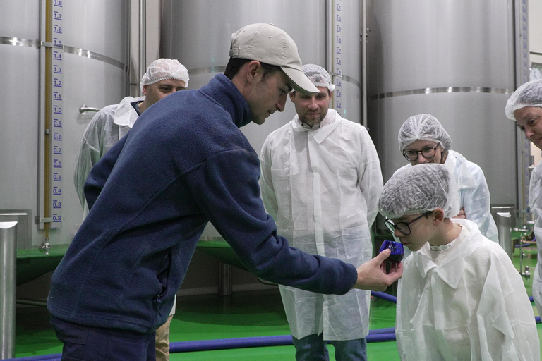Toledo: Olive Oil Mill Tour & Tasting 4 EVOO Casas de Hualdo