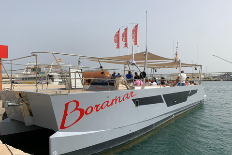 Valência: Cruzeiro de Catamarã com Parada para Nadar