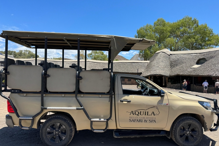 Private Tour: Big 5 Safari - Erlebe die wilden TierePrivate Tour: von Kapstadt zum Aquila Wildreservat - Big5