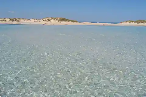 ESPALMADOR