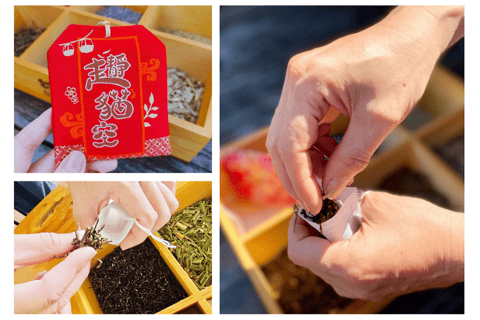 Taipei: Zoo, Maokong Gondola, and Experience Ticket