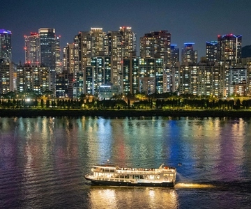Seoul: Han River Guided Night Cruise and Hangang Park Picnic