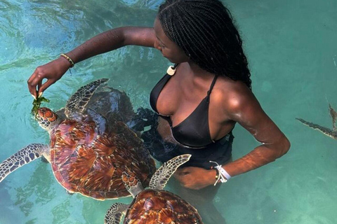 Zakir Wildlife Safari & Salaam Cave Sea Turtles Experience SPECIAL OPTION FOR GUESTS STAYING IN THE NORTH COAST AREAS