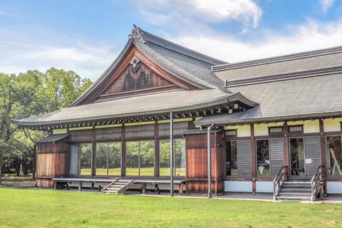 Entdecke Osaka, Private anpassbare Tour mit erfahrenen Führern5-stündige Tour