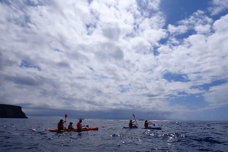 Aventure en kayak à Calheta : Plage de Zimbralinho ou tour de l&#039;îlot Cal