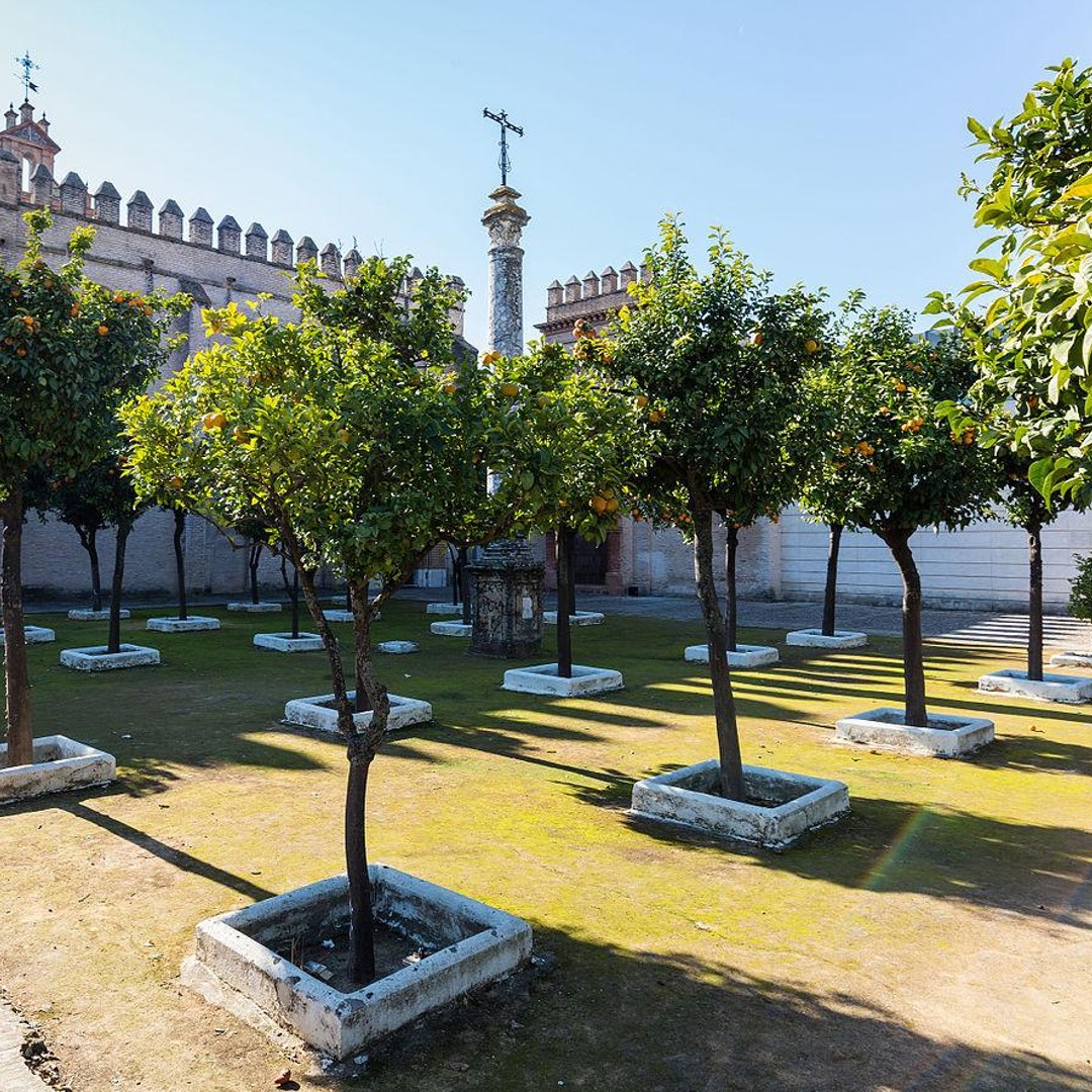 세비야: 산 이시도로 델 캄포 수도원 가이드 투어 | GetYourGuide, image size:1080x1080