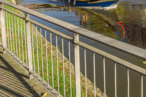 From Porto: Transfer to Lisbon with stops until 3 cities Transfer Porto - Lisbon with 2 stops