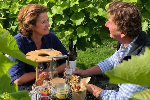 比乌尔（迪南附近）：比乌尔城堡之旅和品酒