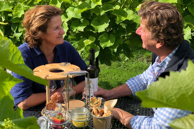 比乌尔（迪南附近）：比乌尔城堡之旅和品酒