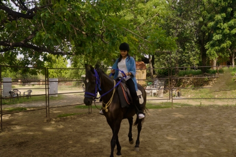 Strode Marwari Paardensportervaring: stoeterij + paardrijden