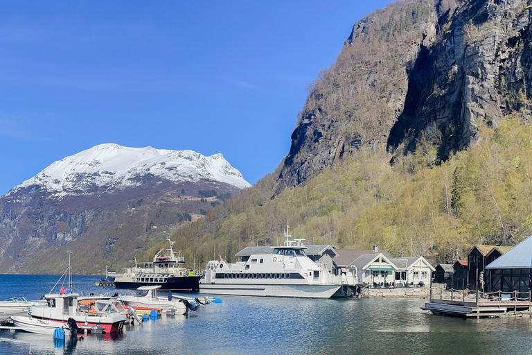 Geiranger Fjord Tour from Hellesylt (2 hours in Geiranger)