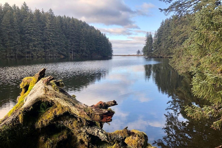 Kodiak: Rainforest Hike with Naturalist Guide