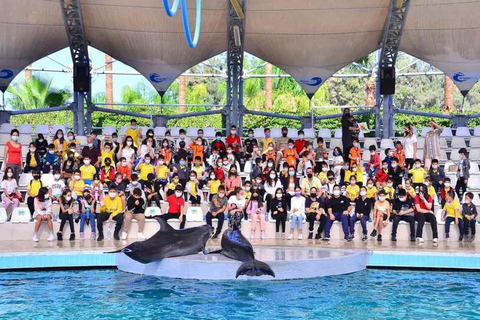 From Belek: Dolphin Show with Transfers