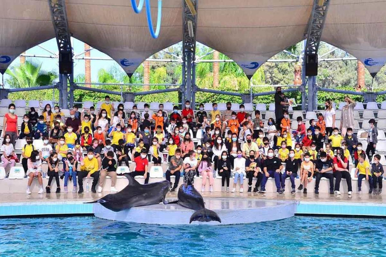 From Belek: Dolphin Show with Transfers