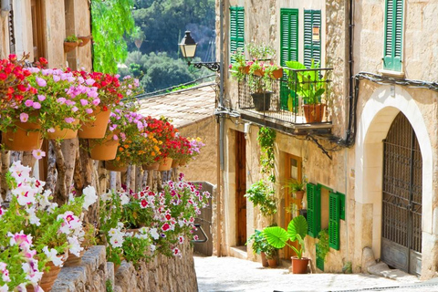 Mallorca: Puerto de Sóller and Valldemossa Morning Trip