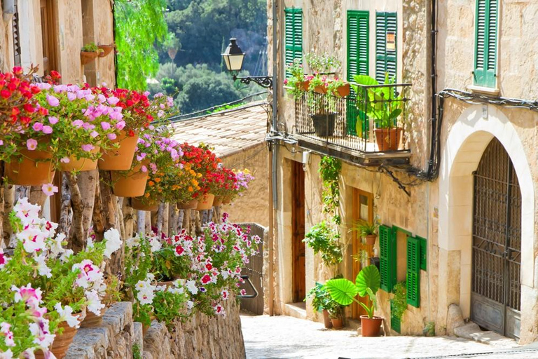 Mallorca: Puerto de Sóller and Valldemossa Morning Trip