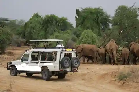Nairobi: 3-Day All-Inclusive Samburu National Park Safari