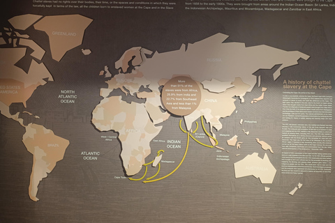Cape Town: Apartheid History and City Walking Tour