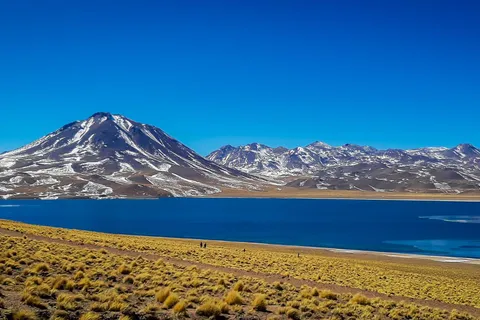 Cejar, Tebinquinche, and Ojos del Salar Lagoon Half-Day Trip