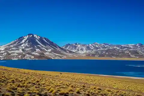 Cejar, Tebinquinche, and Ojos del Salar Lagoon Half-Day Trip