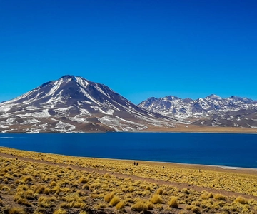 Cejar, Tebinquinche, and Ojos del Salar Lagoon Half-Day Trip