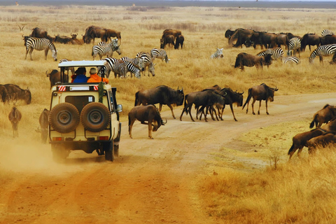 From Mombasa: Day Trip Tsavo East N. Park Safari with Pickup