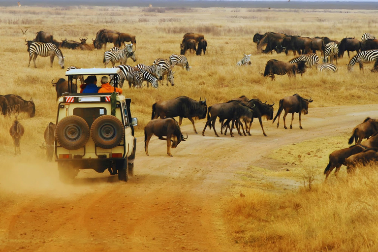 From Mombasa: Day Trip Tsavo East N. Park Safari with Pickup