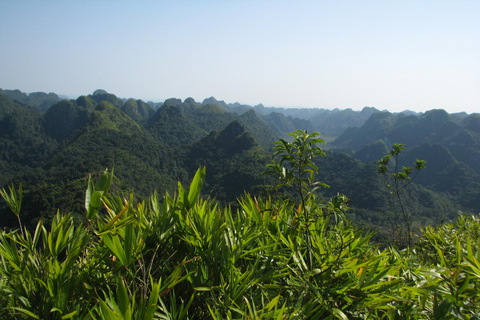 Half Day Hiking to Cat Ba National Park with a Guide