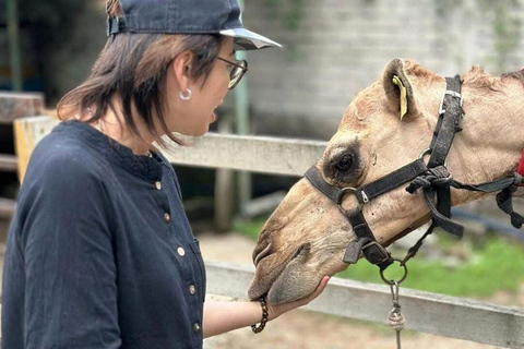 Penang: Balik Pulau Batik Painting &amp; Mini Zoo Petting