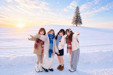From Sapporo: Snow Fun, Shirahige Falls & Ningle Terrace