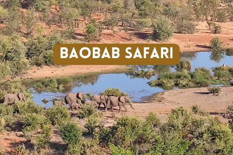 Victoria Falls : Safari(Copie de) (Copie de) Victoria Falls : Safari 4x4 au Baobab dans le parc national