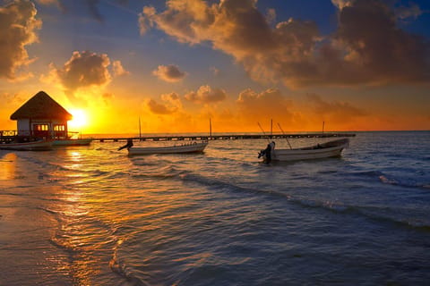 Cancun: Holbox plus Island, Punta Mosquito Trip with Lunch